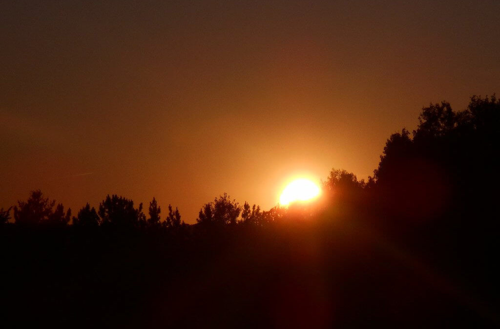 DSCN1806