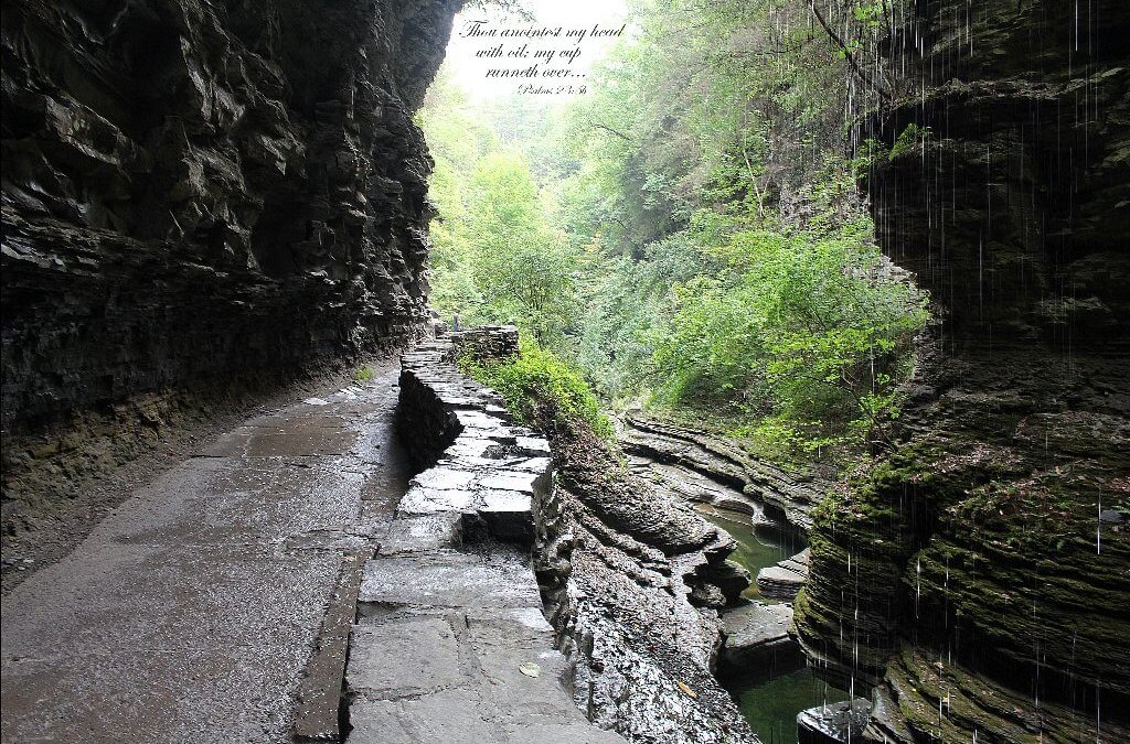 Droplets of Rain yn Watkins - Mae fy nghwpan yn mynd i ben