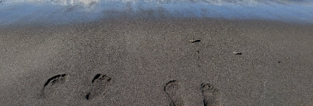 آثار أقدام - شاطئ هاملين