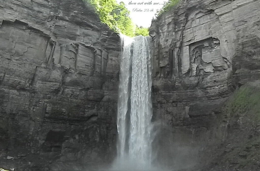 Ez naiz beldurrik gaitz nirekin nirekin egoteko - Ithaca Falls