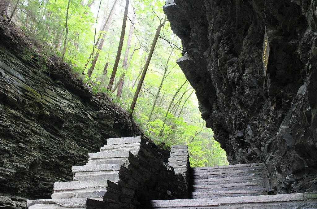 Vaʻalele i Watkins Glen 2