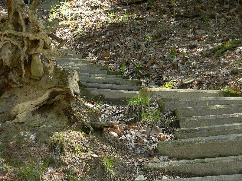 Stairway Stony Brook