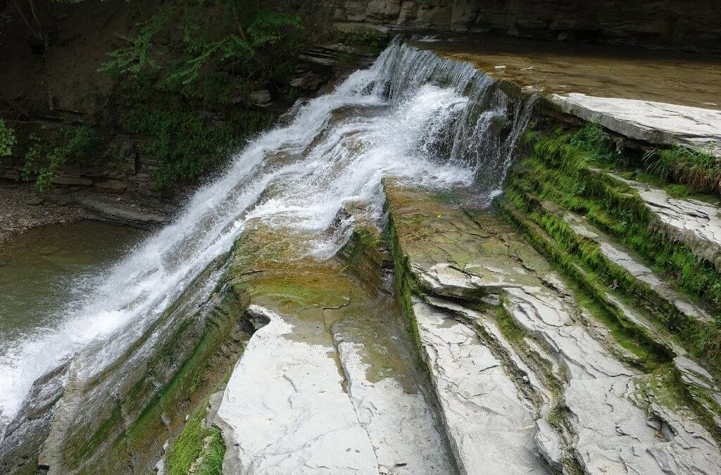 Água, em, stony, riacho, parque estado