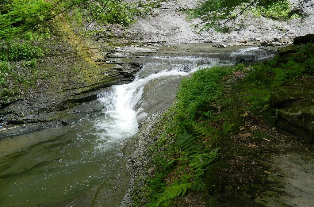 Waterfall ku Stony Brook State Park