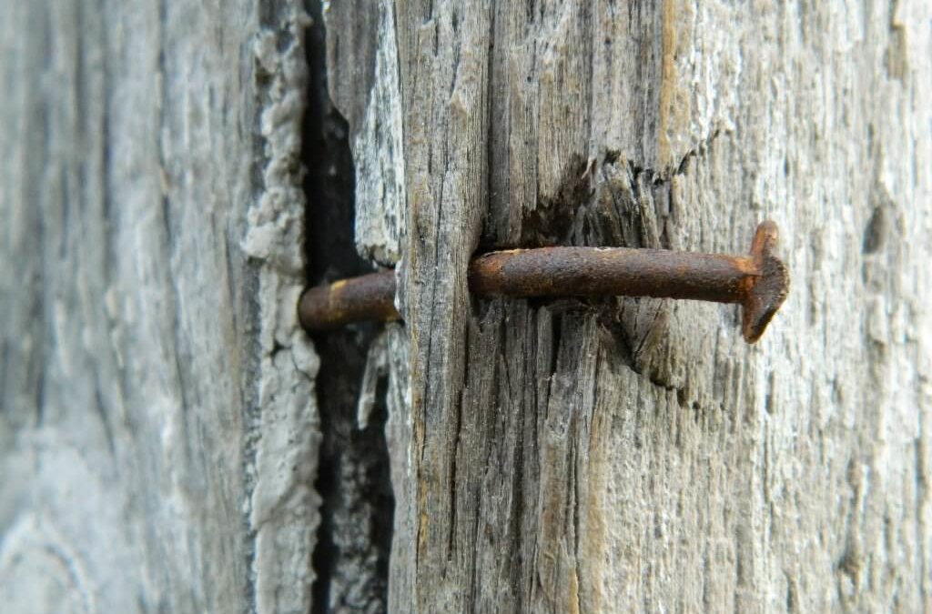 rusted-nail-in-barnwood