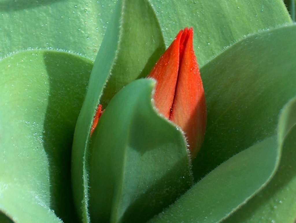 HPIM9536-1024x774300