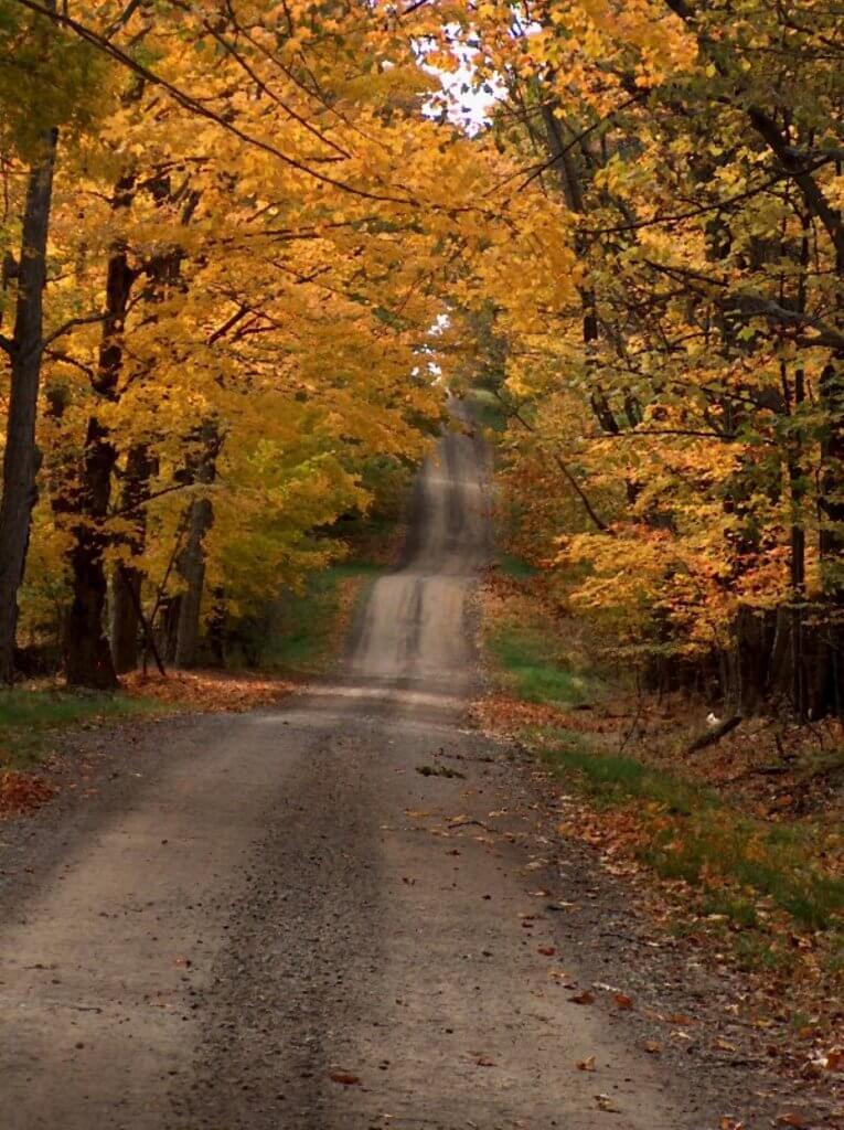 Autumn road-oil painting (Vertical)
