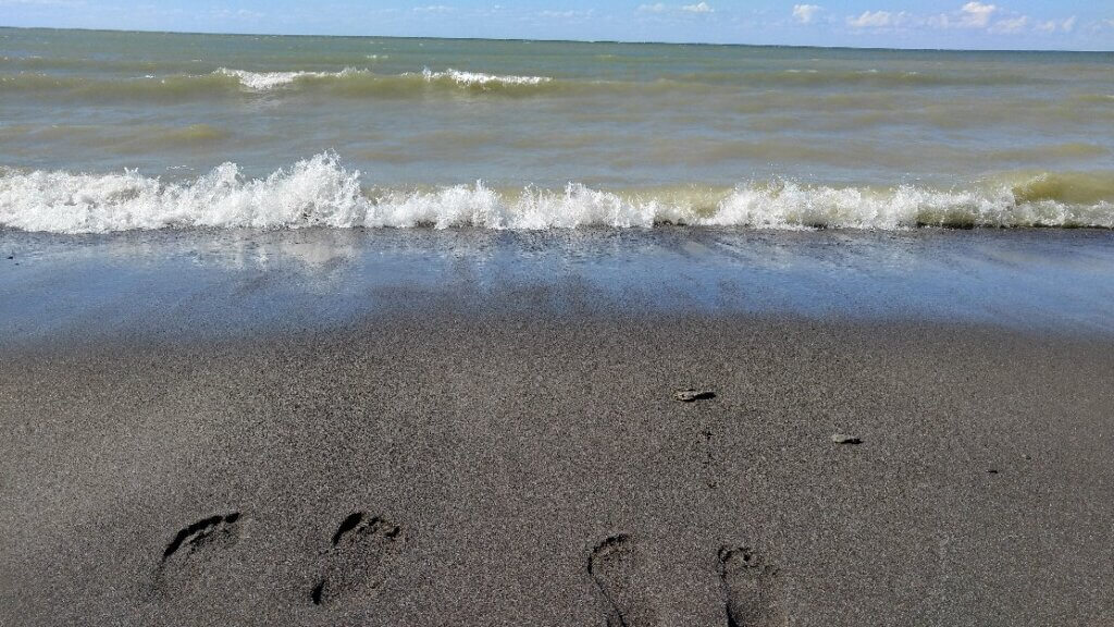 รอยเท้า - หาดแฮมลิน