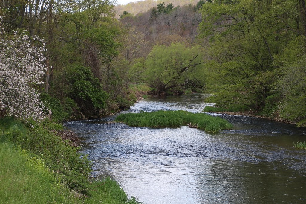 Creek in the Spring